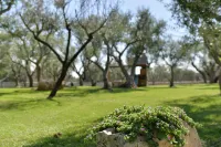 I Trulli Del Nonno Michele - Villas
