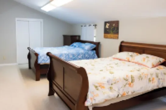 Large french style house in the most sought after area - Concord.