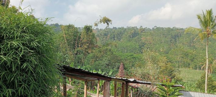 Chalet Bromo Lounge & Lodge Hotels in Malang Regency