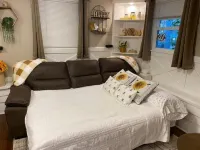 Bee-Themed Stay Near Boston – A Sweet and Unique Getaway Hotels in Billerica