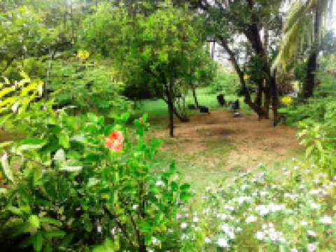 シェ ロナルド ゲスト ハウス ロドリゲス島のホテル