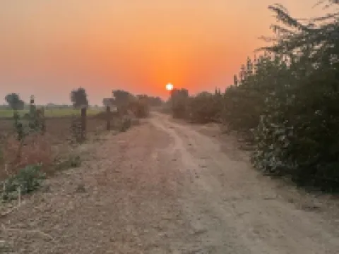 Chotsa's Farm House Hotels in Barmer