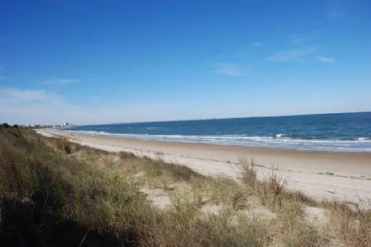 Beach Side Studio #5 - Pet Friendly, WiFi, Off-Street Parking, Large Smart TV