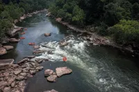 Cabin by The Creek Located Minutes From New River Gorge National Park
