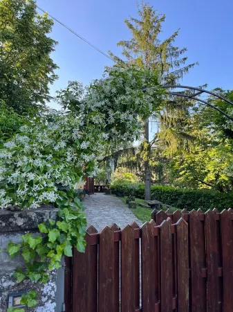 LASTRI HOUSE - IN THE HEART OF THE CASENTINO FORESTS PARK