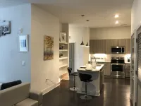 Entire luxury condo