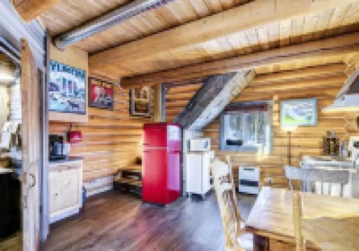 Log Cabin with Amazing Mountain & Lake Views  (allergy-friendly)