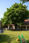 North Sea coast, natural beach within walking distance, apartment on the dike!