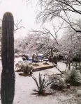 chateau Catalina Foothills city & mountain views surrounded with 3 Acres gated Hotels near Limited Additions
