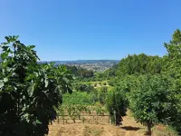 Casa de Campo Inserida Numa Quinta a 5 Minutos do Centro da Vila