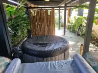 Cool Loft, King Bed, in Dolega, 10min to David/20min to Boquete. Private Parking Hotels in Dolega District