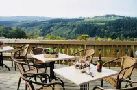 Large Savoyard-style house with indoor swimming pool, sauna, meeting room