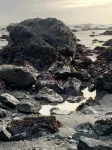 Steps to the ocean!!