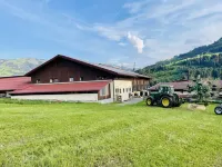 Apartment in the Kitzbühel Alps