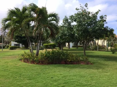 Paradise on the beach