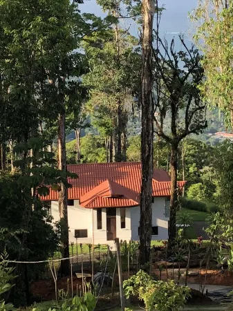 WHALES TAIL View Exotic Designer House 13 acre PRIVACY, Birding  w 50 MILE VIEW