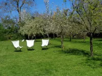 House with garden Hotels in Plobannalec-Lesconil