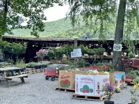 Serene Nantahala Village Cabin w/ Pool near Nantahala Outdoor Center!