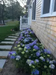 New Listing!  Beautiful, new, luxurious house just steps to the beach