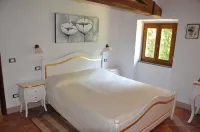 Stunning Luxury Old Tuscan Villa With private 12 Mtr Fresh Water Pool