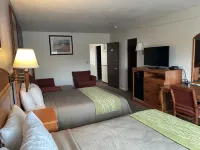 Village Inn Green Bay