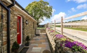 Beudy Tyddyn