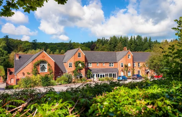 狐狸與獵犬鄉村酒店