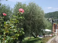 Il Merangolo Agriturismo Hotel a Montebuono