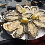 Villa du Pyla in a green setting, private heated pool and roller shutter