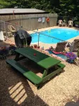 Shady Acre Inn and Suites