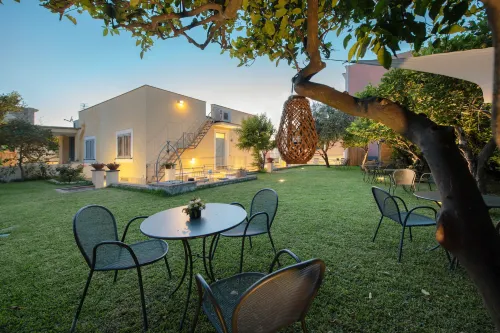 Prochytea - Homestay