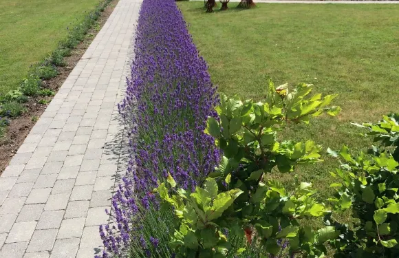 比爾肯德住宿加早餐酒店