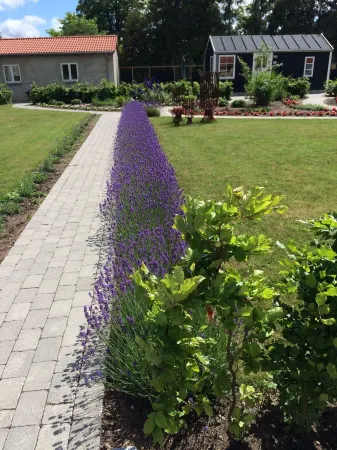 Birkende Bed and Breakfast Отели в г. Кертеминне