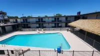Studio 6 Alvin, TX - Pools