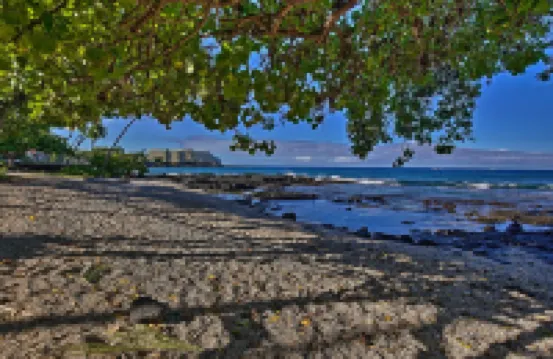 Kailua Studio w/ Pool Access & Garden Views!