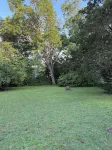 Newly renovated cottage in Clayton Historic District - a short drive to Raleigh