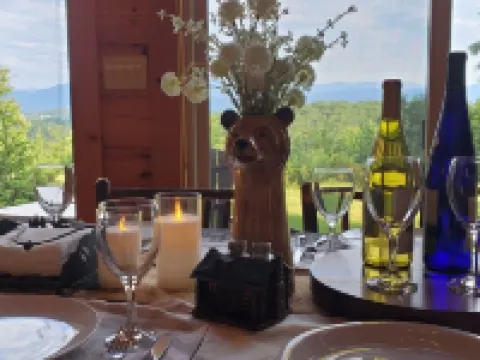 Private Cabin, Mountain View, Fireplace, Jetted Tub, Game Room, EV Charger โรงแรมในMcDowell County