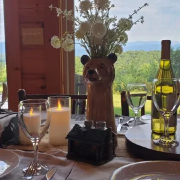 Private Stunning Mtn Views 6 Acres Jetted Tub EV Charger Wifi 15 Min-Lake James