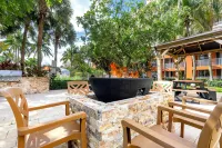 Vacation Village at Weston, Fort Lauderdale - Kitchens
