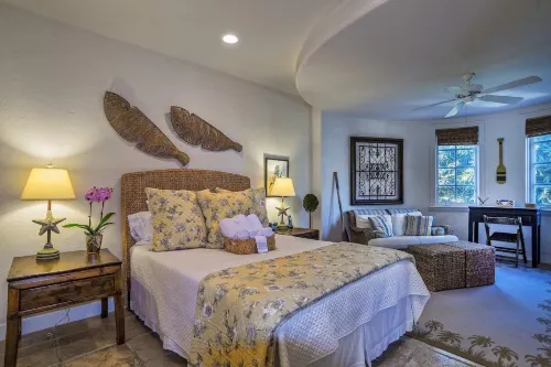 Luxurious Mykonos - Pet Friendly