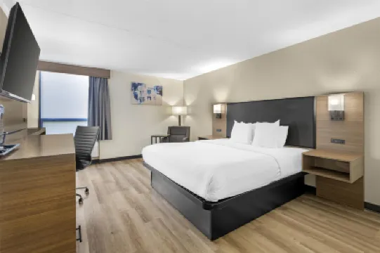 Best Western Plus York Hotel  Conference Center Hotel di 