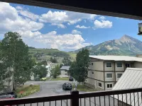 Come See the Wildflowers on Mt. Crested Butte!