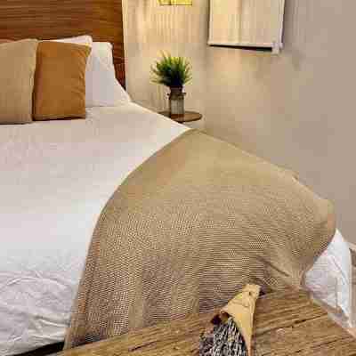 Exclusive apartment in the most emblematic street of Mazatlan's historic center. Rooms