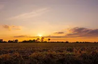 Cheerful two bedroom cottage with field views