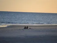 5 O'Clock Somewhere Beach House