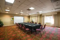 Hilton Garden Inn Tampa Ybor Historic District - bar