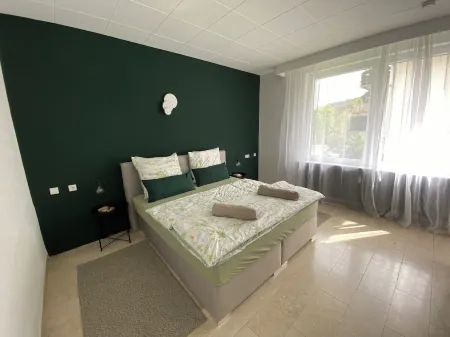 Bollenhut 1 Large, bright vacation apartment with terrace