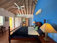 Porvorose Beautiful Sea View Hillside 3-bedroom home Pool, AC, WiFi,  Falmouth. Hotel di 