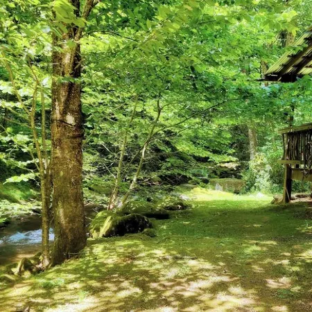 Secluded Creekside Cabin • Waterfall • Hot Tub • Lake Access