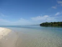 Luxury villa on the beach! - Villas